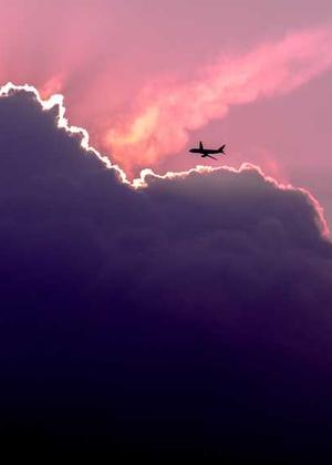 The Fault in Our Stars